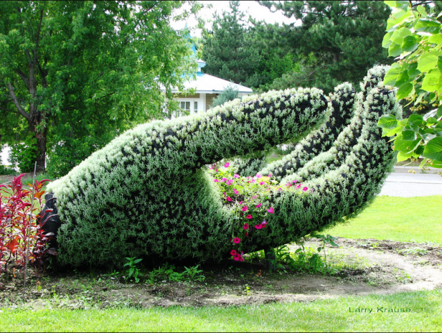 topiary hand