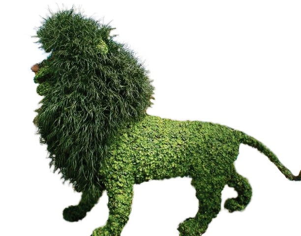 topiary lion