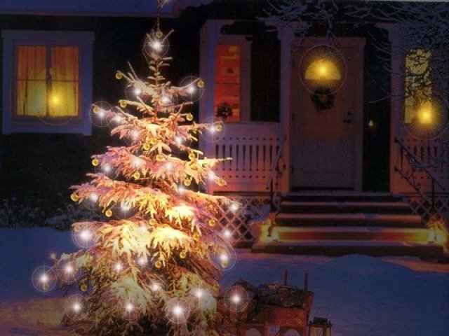 christmas tree and lights