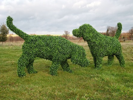 Dogs topiary