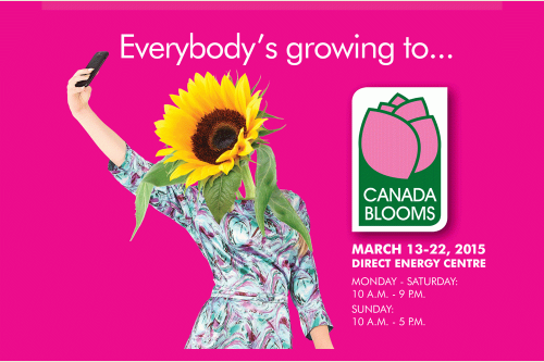 Canada Blooms 2015